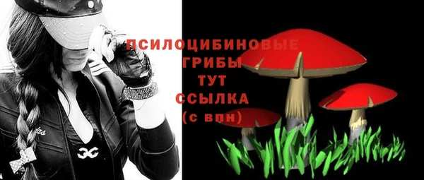 a pvp Верхний Тагил